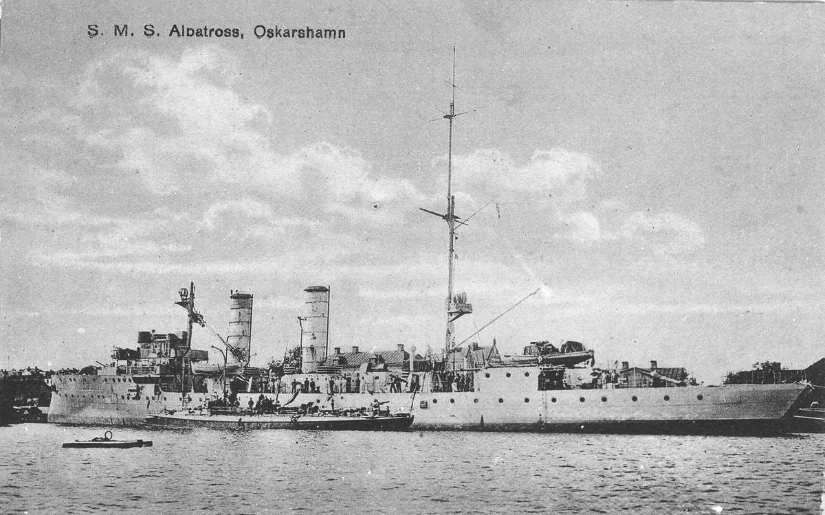 Albatross